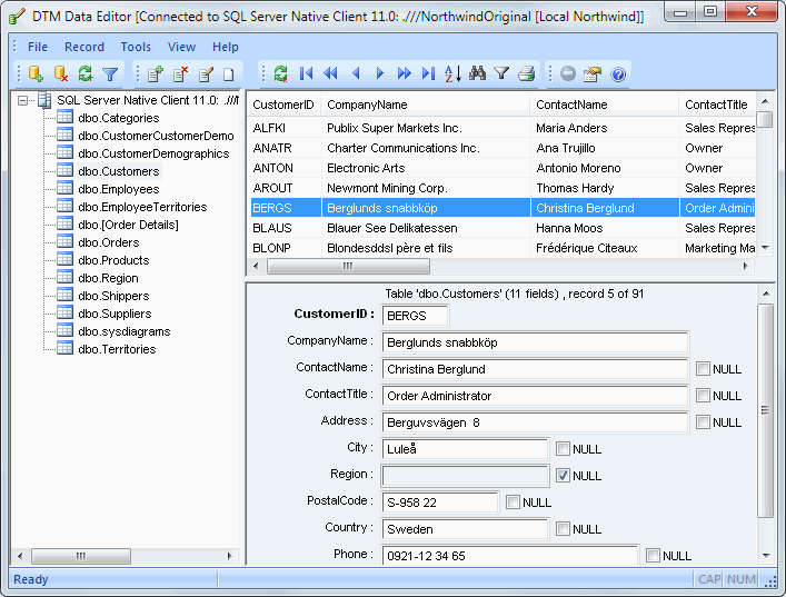 DTM Data Editor - Database viewer and editor with BLOBs support